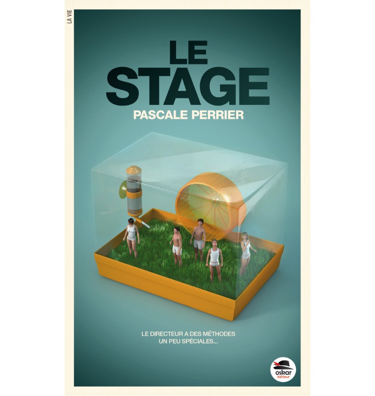 illustration matthieu roussel stage.jpg - Matthieu ROUSSEL | Virginie